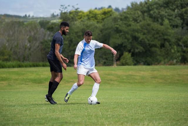 九游游戏官网今夜波尔图备战法甲；防线松动细节曝光；话题不断；医务组通报恢复的简单介绍